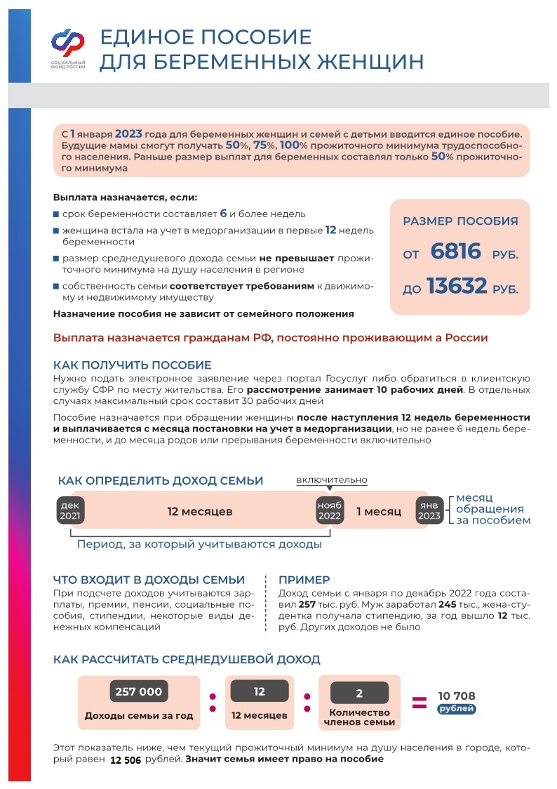 Единое пособие для беременных женщин.